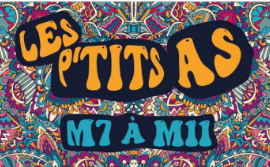 logo ptitsAS